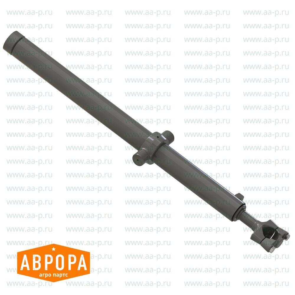 Arm